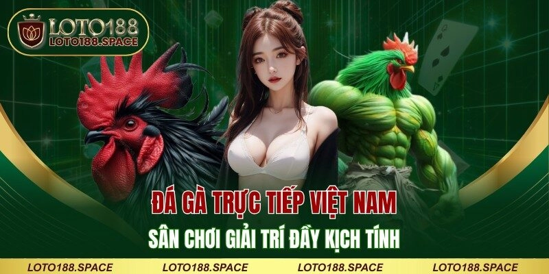 Đá Gà Trực Tiếp Việt Nam - Sân Chơi Giải Trí Đầy Kịch Tính
